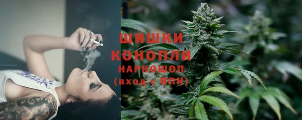 бошки Верея
