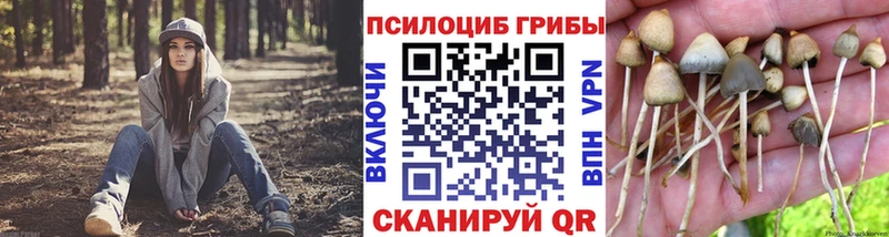 Галлюциногенные грибы мицелий  Купить закладки  Можайск 